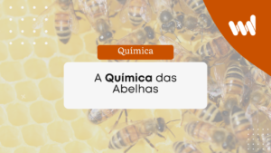 Read more about the article A Química das Abelhas